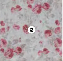 Carica l'immagine nel visualizzatore di Gallery, Tappeti Passatoie elegance 57x240 Atelier 17